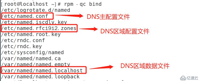  DNS域名解析服务(正向解析)