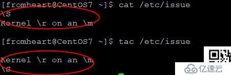从心开始的CentOS学习笔记之五:文件内容查看命令cat、