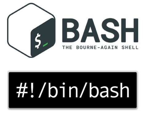  bash函数的小技巧”> <br/> </p> <p>关于bash函数,这里有一些您不知道的东西。通常当你写一个函数时,你会这样做:</p> <pre类=