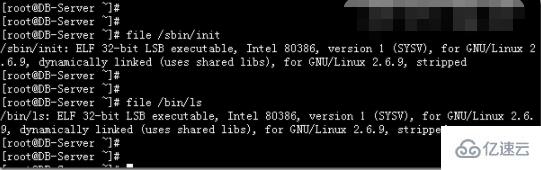 如何查看linux是32位还是64位