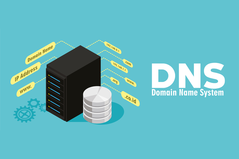  DNS服务器介绍