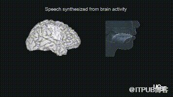告别“霍金音”：华裔科学家设计脑机新设备，人类首次直接用脑波“说话”