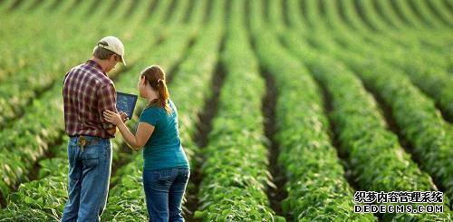 未来农业:机器人与你一起“锄禾”