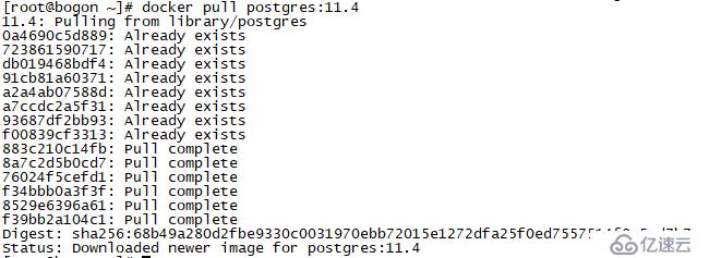 码头工人安装postgreSQL 11.4 