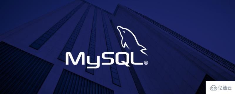 如何用码头工人容器启动mysql数据库? 