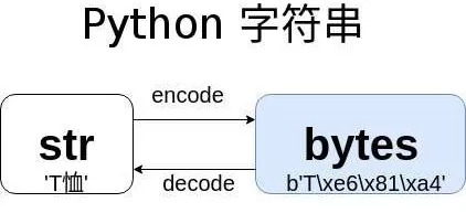  str与字节在Python 3字符串中有什么区别