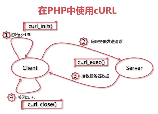 如何在PHP中利用旋度传输数据