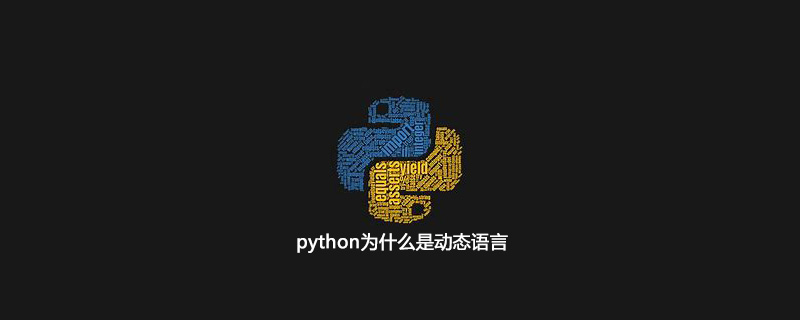  python是动态语言吗