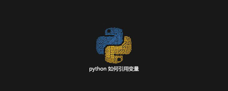  python引用变量的方法有哪些