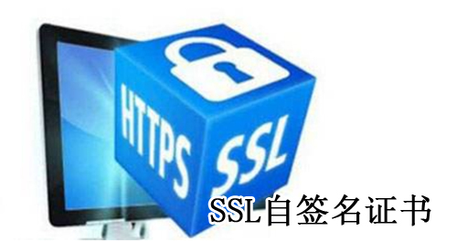  SSL自签名证书的相关介绍